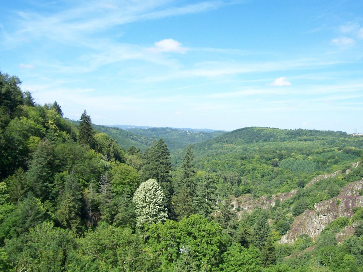 L'Hostellerie De La Vallee Gimel-les-Cascades ภายนอก รูปภาพ